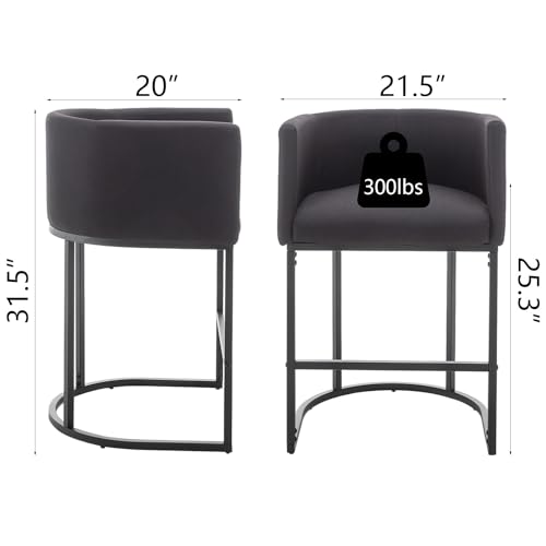Set of 2 Modern Barstools for Kitchen Island and Cafe, 25 Height, Black