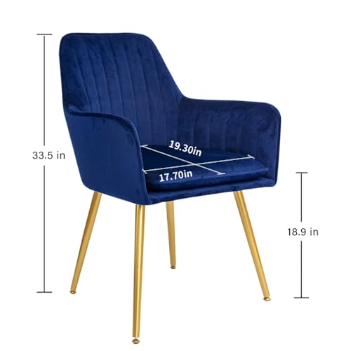 Modern Navy Blue Accent Chairs with Gold Metal Legs, Set of 2 - for Living or Dining Room