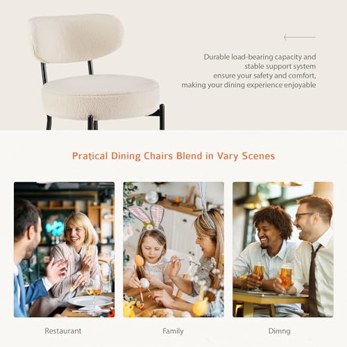 Mid Century Modern Dining Chair Set of 2