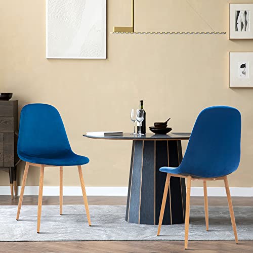 Modern Blue Velvet Dining Chairs - Set of 2