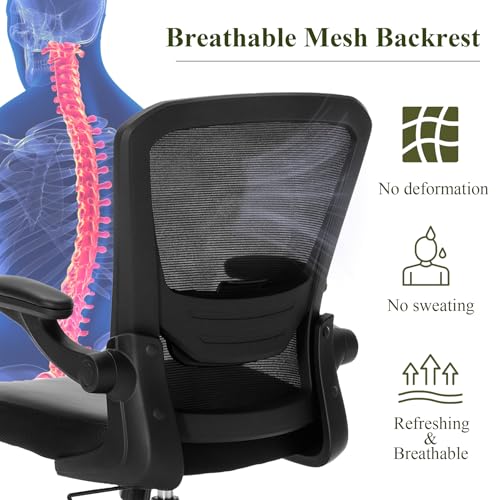 Ergonomic Office Chair with Lumbar Support and Height Adjustment