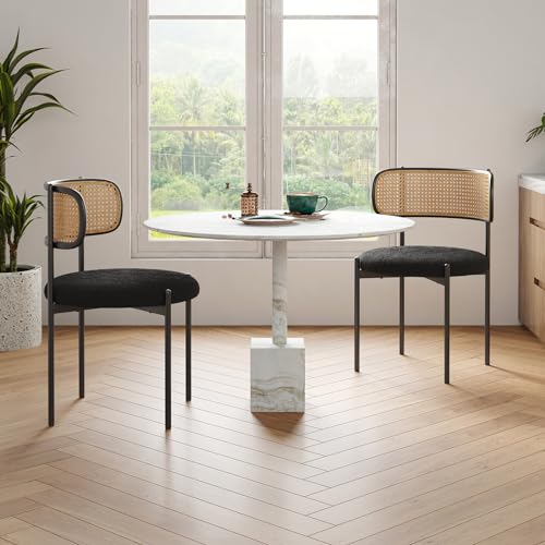 Modern Black Rattan Dining Chair Set of 4