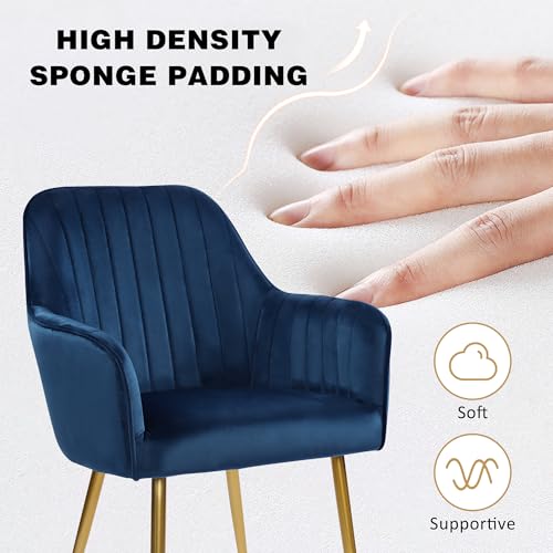 Set of 2 Blue Velvet Dining Chairs with Gold Legs for Living Room