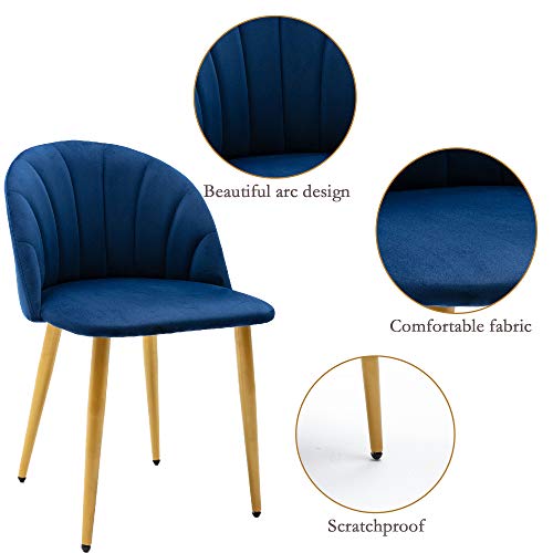 Navy Velvet Dining Chair Set of 2