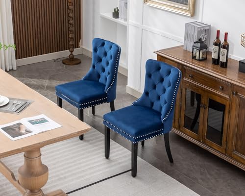Modern Blue Velvet Dining Chairs Set of 2 for Kitchen, Nikki Collection