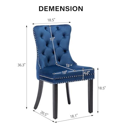 Modern Blue Velvet Dining Chairs Set of 2 for Kitchen, Nikki Collection