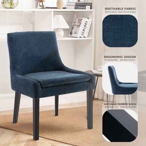 Blue Modern Dining Chairs Set of 2
