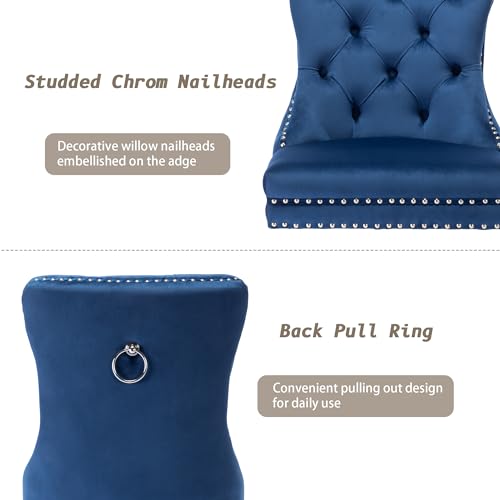 Nikki Collection Blue Velvet Dining Chair Set of 2