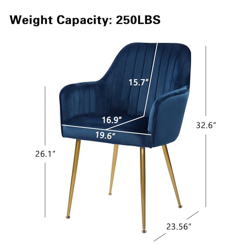 Set of 2 Blue Velvet Dining Chairs with Gold Legs for Living Room