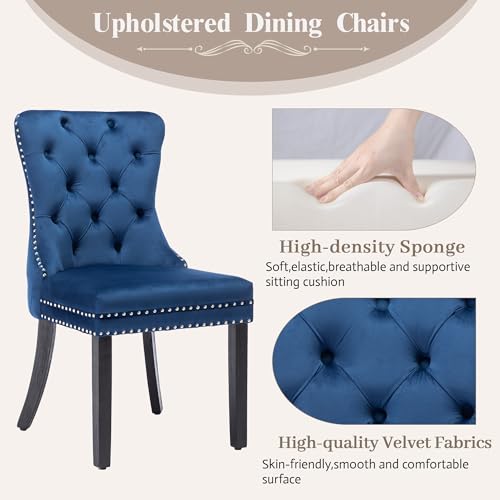 Modern Blue Velvet Dining Chairs Set of 2 for Kitchen, Nikki Collection