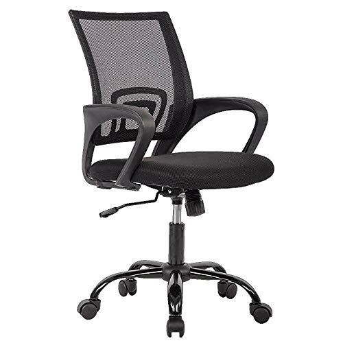 Ergonomic Office Chair with Lumbar Support for Back Pain - Black