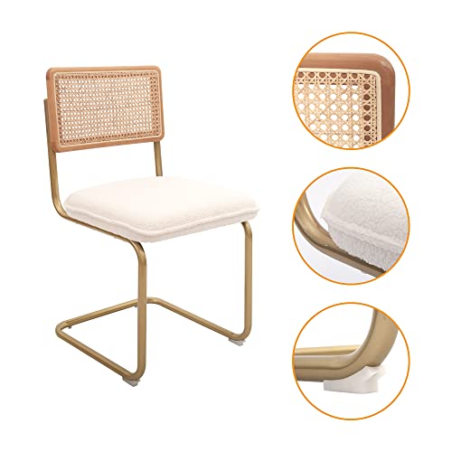 Mid-Century Modern Rattan Dining Chair Set, 2pcs Home Kitchen