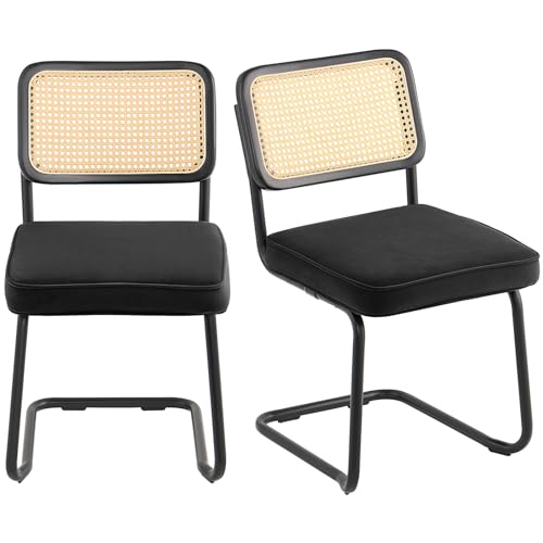 Mid Century Modern Rattan Dining Chair Set of 2