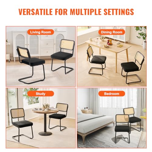 Mid Century Modern Rattan Dining Chair Set of 2