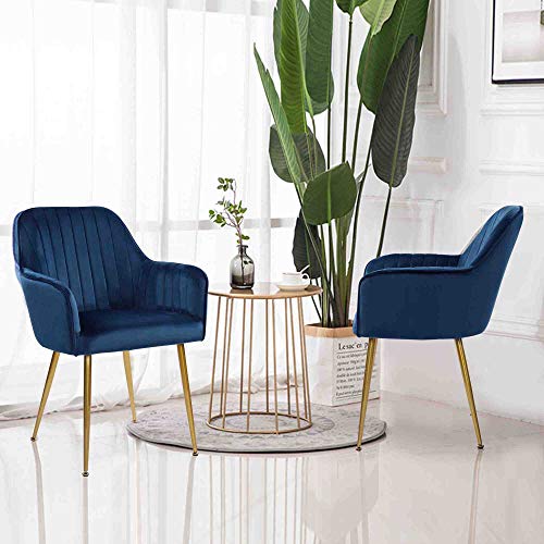 Set of 2 Blue Velvet Dining Chairs with Gold Legs for Living Room