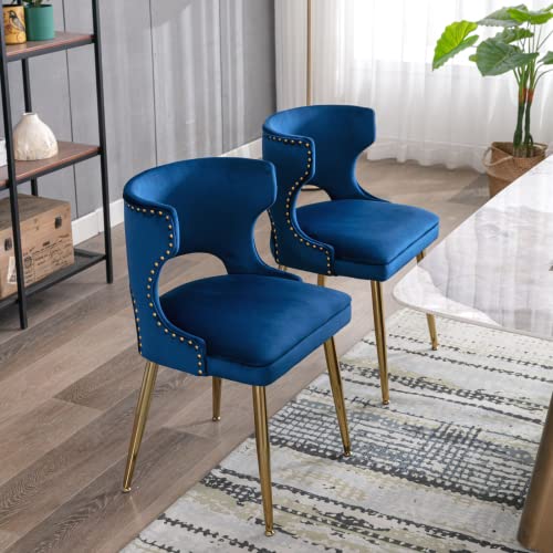 Modern Blue Velvet Kitchen Dining Chairs with Gold Legs (Set of 2)