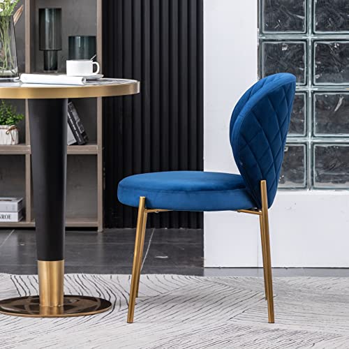 Amoa Dining Chair Set in Blue - for An Audience Interested in Furniture