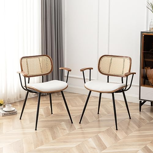 Classic Mid Century Modern Rattan Dining Chairs (Set of 2)