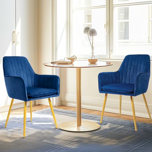 Modern Navy Blue Accent Chairs with Gold Metal Legs, Set of 2 - for Living or Dining Room