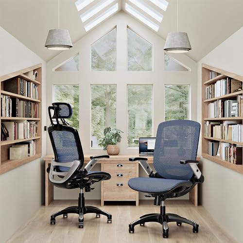 Ergonomic Office Chair with Lumbar Support and Adjustable Arms for Working and Gaming