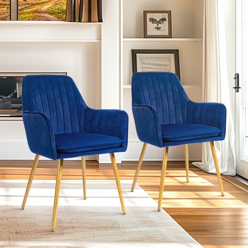 Modern Navy Blue Accent Chairs with Gold Metal Legs, Set of 2 - for Living or Dining Room