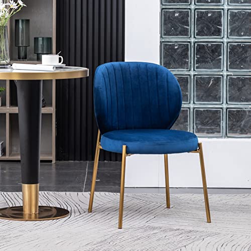 Amoa Blue Dining Chair Set - Elegant Furniture Choices