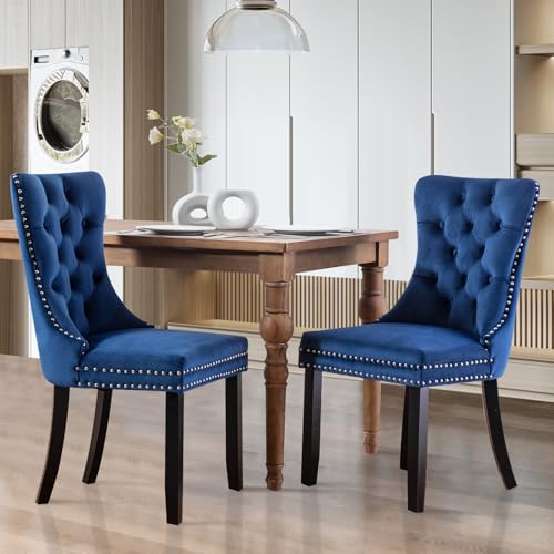 Blue Velvet Dining Chair Set, Modern Tall Back Upholstered (2 Pieces)